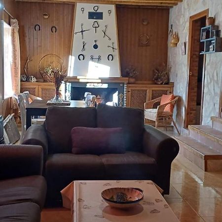 El Enebro Villa Villaverde De Guadalimar Luaran gambar